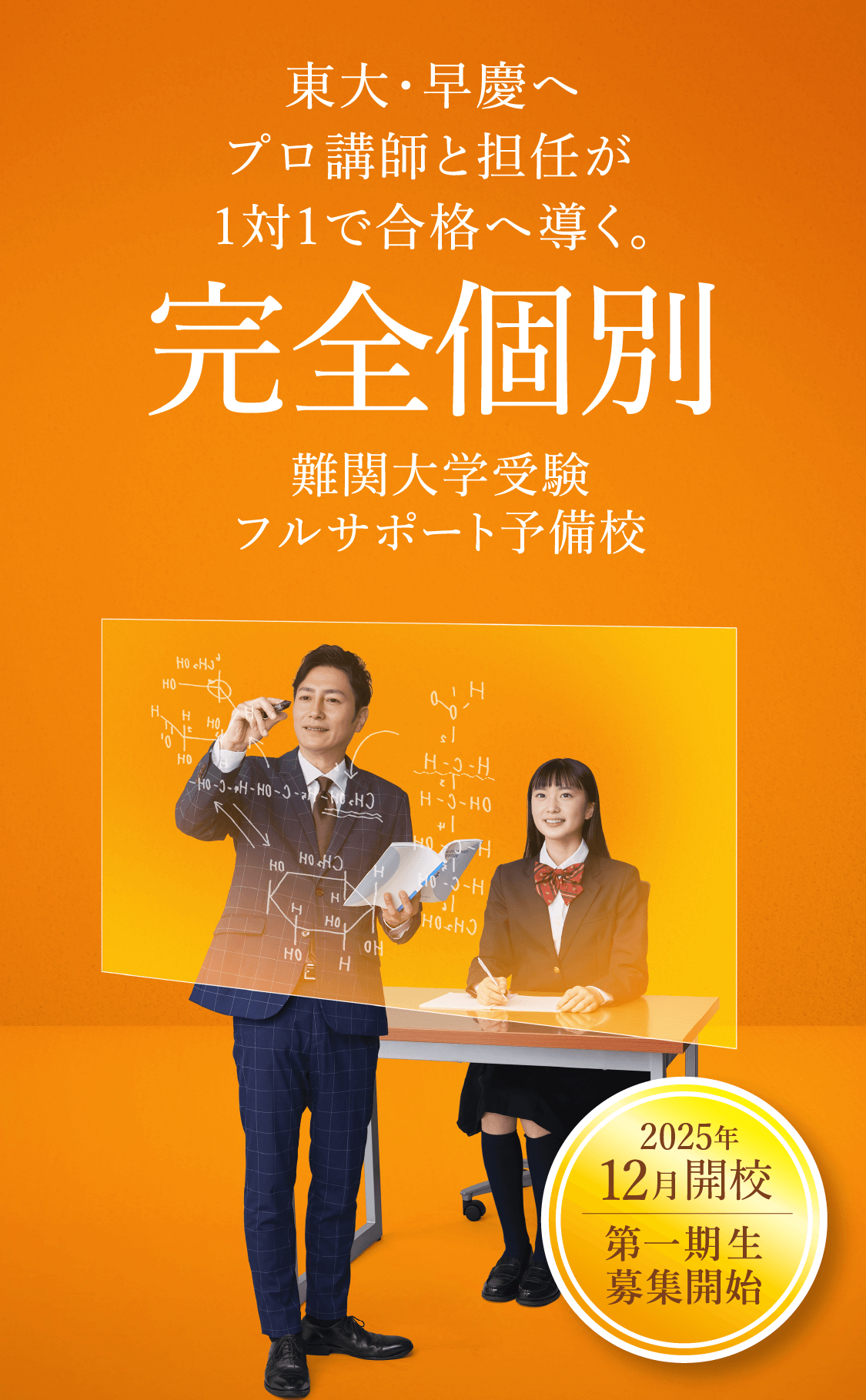 なんぷろ 東大･早慶へプロ講師と担任が1対1で導く｡｢完全個別｣難関大学受験フルサポート予備校